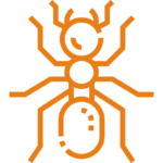 Ant Treatment