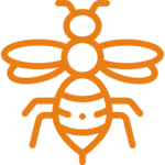 Bee & Wasp Removal