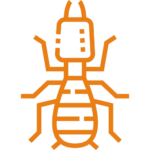 Termite Control